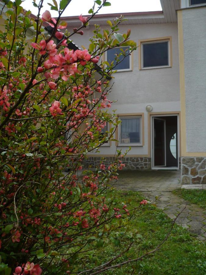 Apartmaji In Sobe Kocjancic Podčetrtek Εξωτερικό φωτογραφία